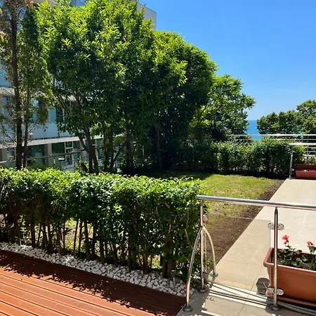 Tm Panorama 네세부르